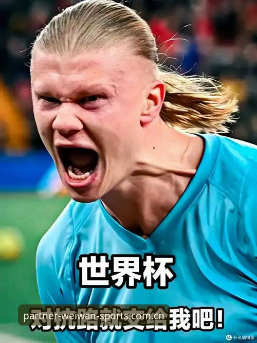 揭秘哈兰德中框背后的真相：世界杯夜，数据迷都在用这个入口看球